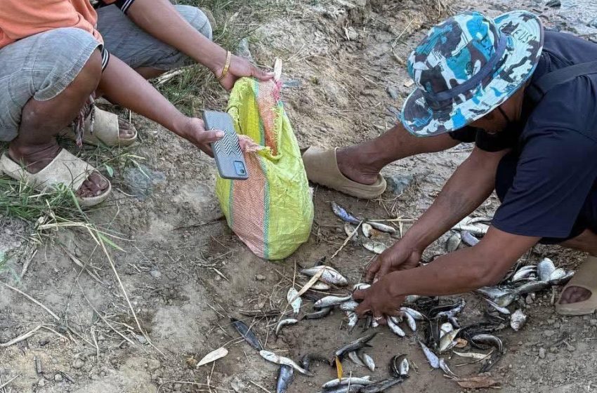  រដ្ឋបាលស្រុកទឹកផុស ប្រកាសឱ្យពលរដ្ឋផ្អាកប្រើទឹកក្នុង «អូរឬស្សី» ដោយសារសង្ស័យមានសារធាតុពុល